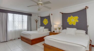 boscardi room 1
